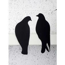 Turteltauben - Lovebirds - black