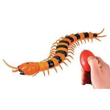 Real RC Centipede - Der echte Tausendfüssler